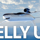 Illustration for article titled How a 737 basically flew upside down because of pilot error
